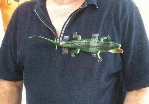 Alerten sobre les falsificacions en les compres d’estiu