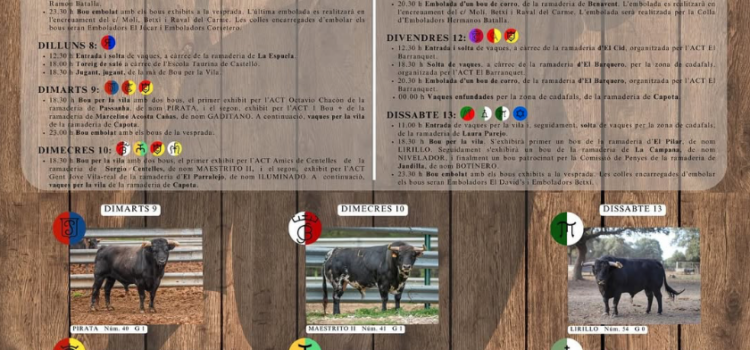 Vila-real desvetla el cartell complet del Bou al Carrer 2025