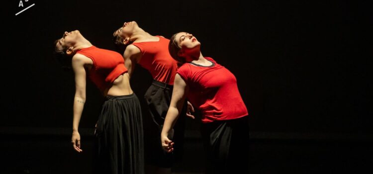 La dansa contemporània connecta cos i emocions al Termet
