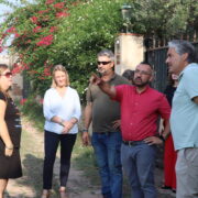 Vila-real estudia accions i zones per a atallar la superpoblació de senglars pel terme