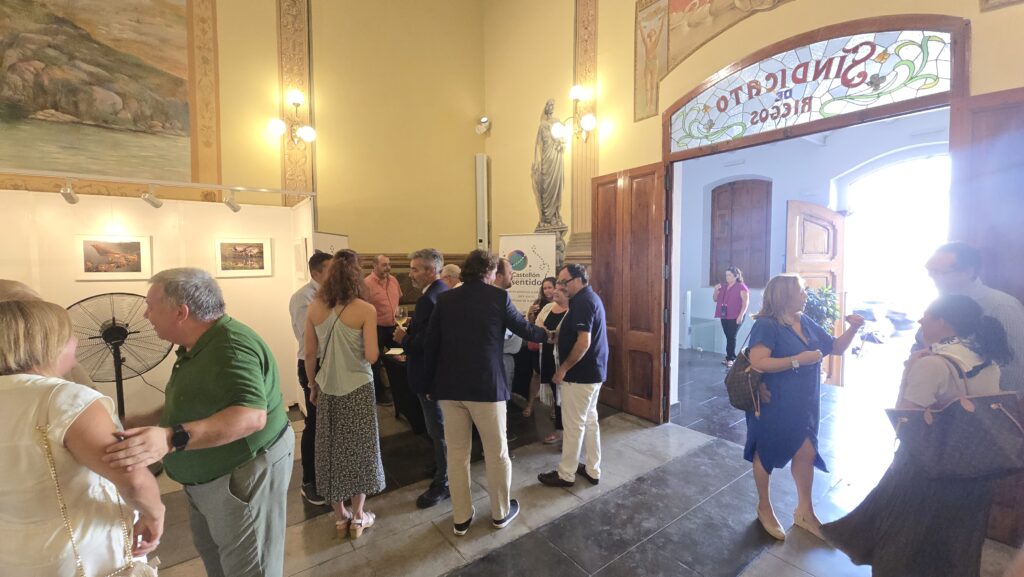 Bodegueta Vila-real Informació Festes Mare Déu de Gràcia 2025