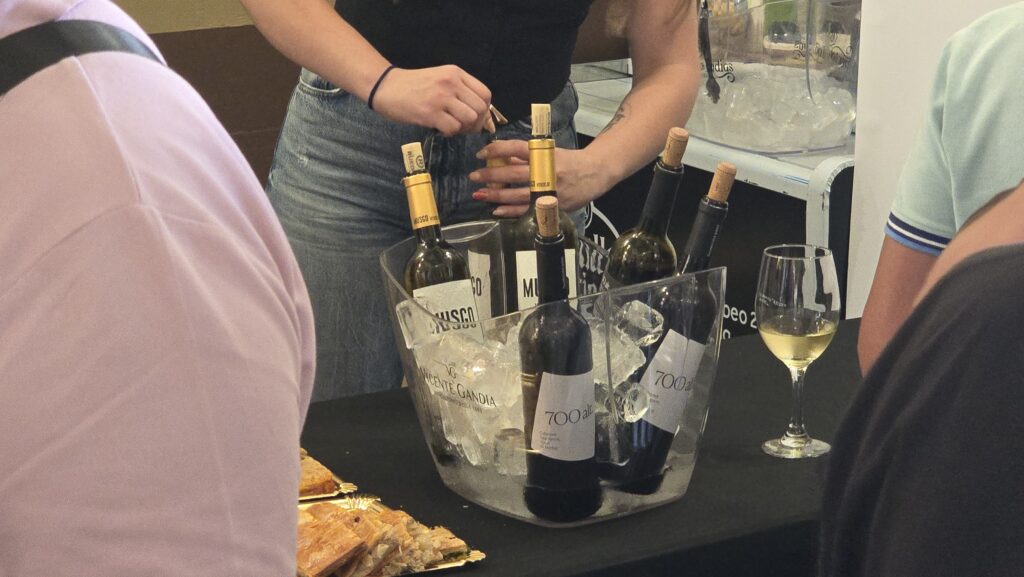 Bodegueta Vila-real Informació Festes Mare Déu de Gràcia 2025