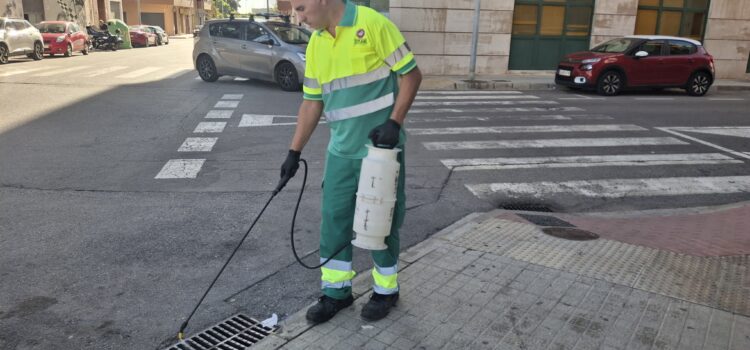 Vila-real reforça els tractaments contra els mosquits després de les pluges d’octubre