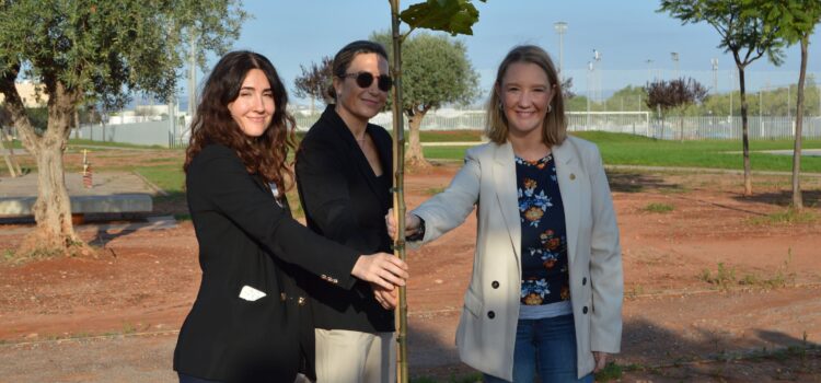 Vila-real incorpora zones d’ombra natural a la Ciutat Esportiva Municipal