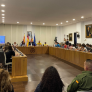El Consell de Xiquets i Xiquetes de Vila-real inicia un nou curs amb una seixantena de membres