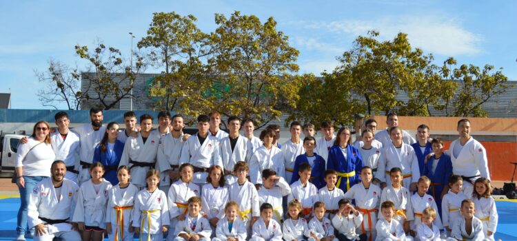 Vila-real celebra el Dia Mundial del Judo amb una exhibició a la plaça de la Maiorasga