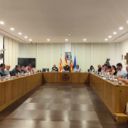 Vila-real tria els passos de zebra intel·ligents com a projecte guanyador dels pressupostos participatius de 2025