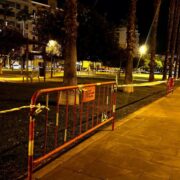 Tres gossos moren al parc Jaume I de Vila-real: l’Ajuntament activa mesures preventives