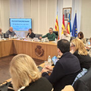 El Ple de Vila-real dona llum verda a una nova licitació de neteja amb més hores, més espais i major pressupost